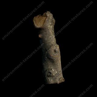  3D Scan of Tree Wood #6